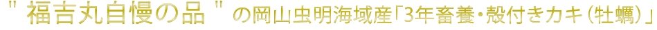 〝福吉丸自慢の品〝の岡山虫明海域産「3年畜養・殻付きカキ(牡蠣)」